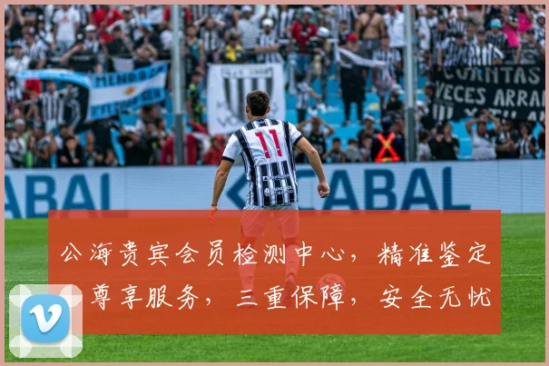 公海贵宾会员检测中心，精准鉴定，尊享服务，三重保障，安全无忧体验