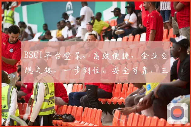 BSCI平台登录，高效便捷，企业合规之路，一步到位，安全可靠，三步即可